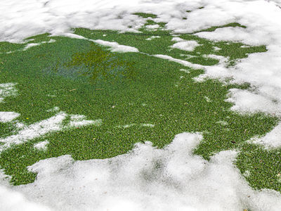 How to care for your artificial grass in winter