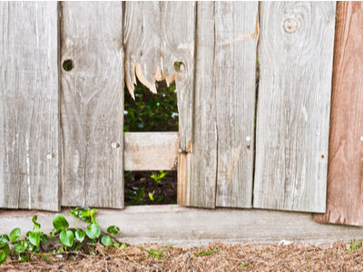 Signs that it is time to install a new Wooden Fence